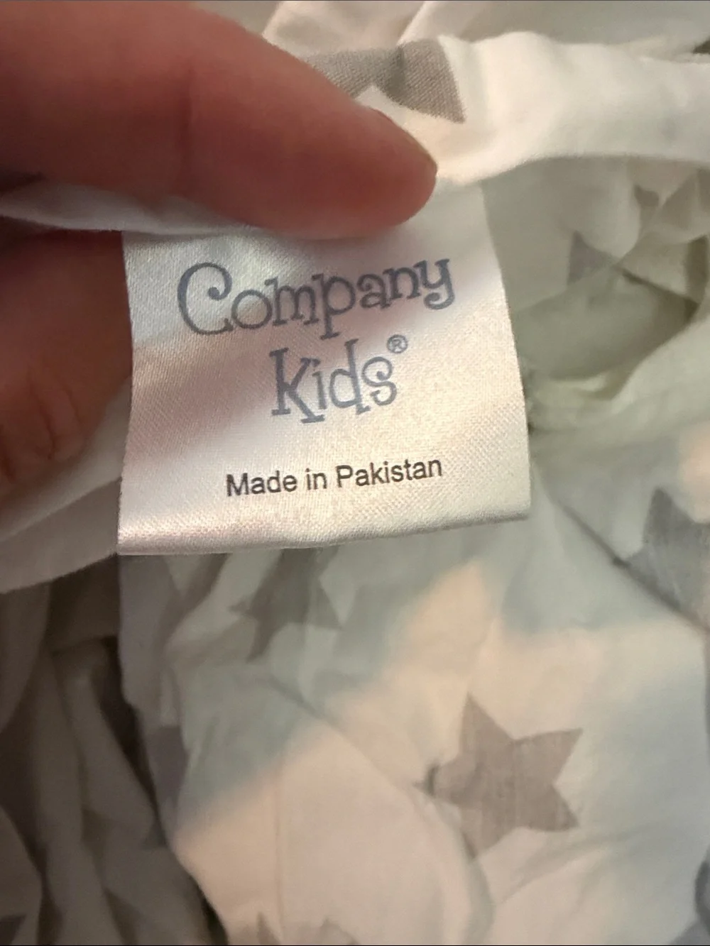 Company Kids Queen Duvet Cover and 2 matching standard pillow covers